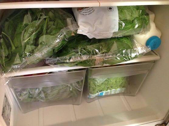 groen, koelkast, spinazie